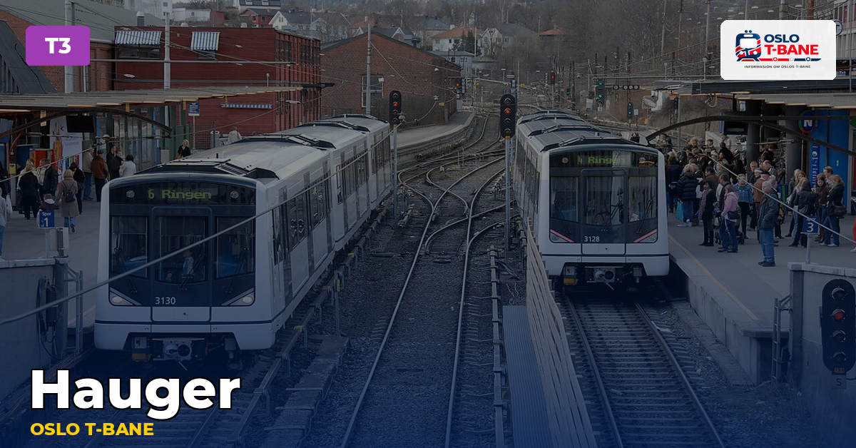 Hauger stasjon — Oslo T-bane