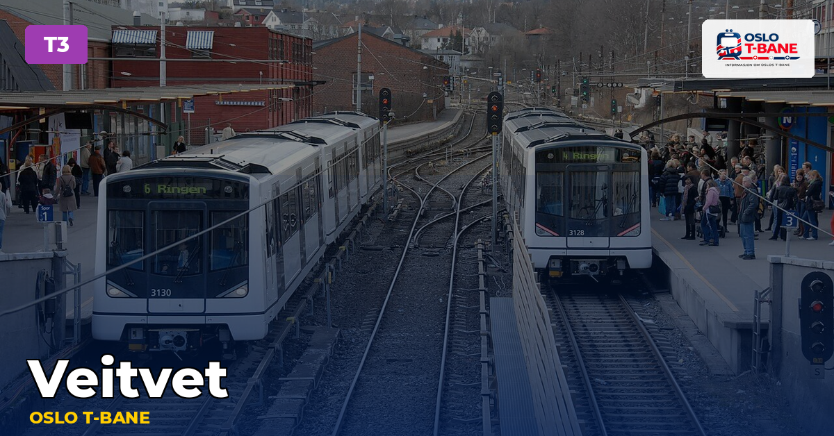 Veitvet stasjon — Oslo T-bane