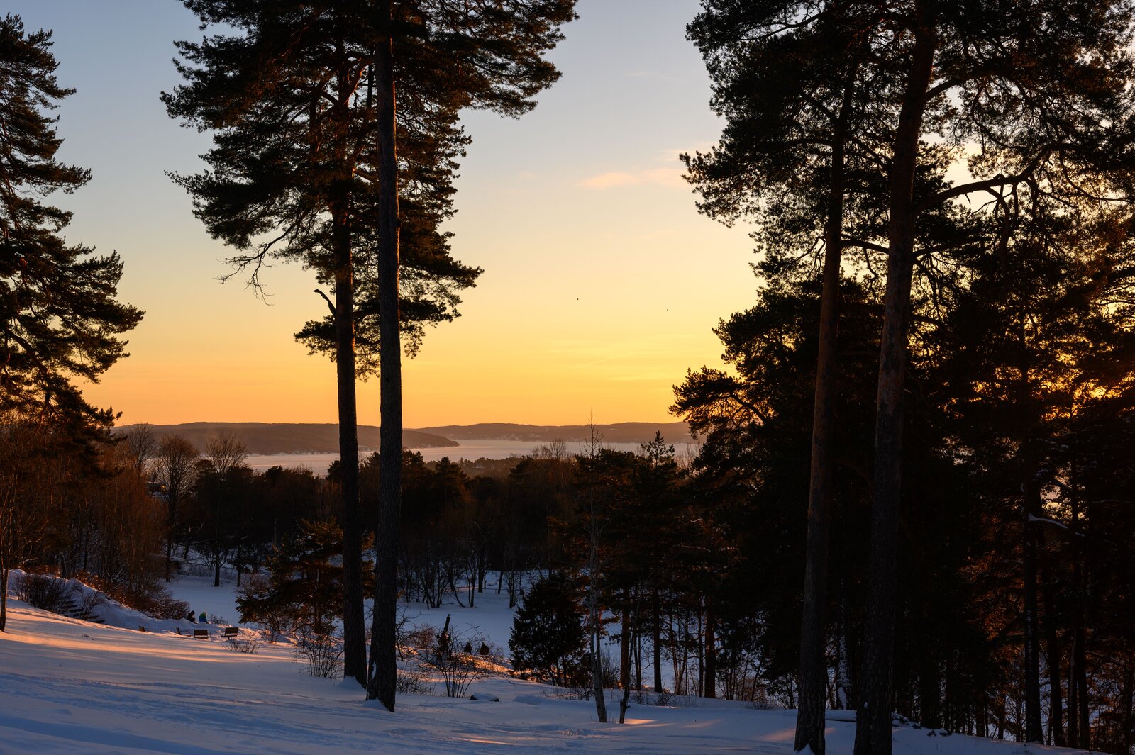 Frognerseteren og Nordmarka